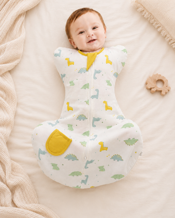 Baby Arms‑Up Swaddle Sleep Sack